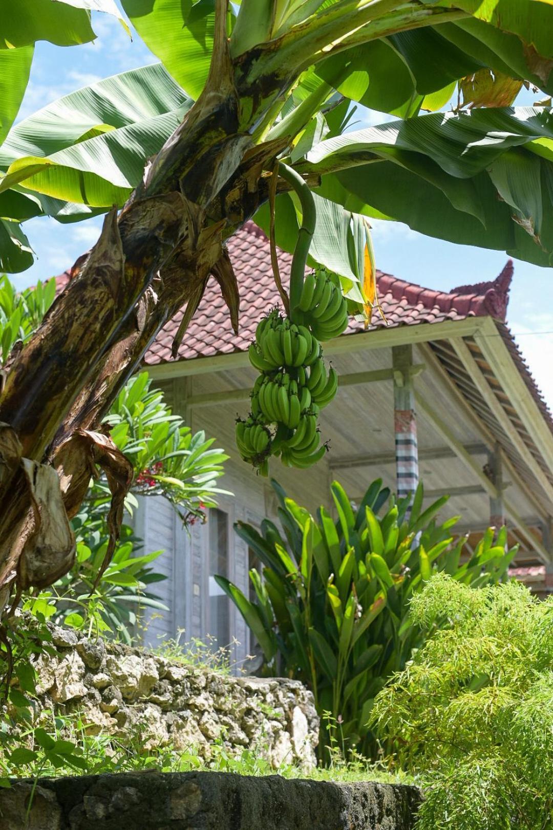 Hotel Mesari Hut Lembongan Esterno foto